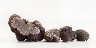 Les truffes