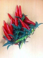 Guirlande piments rouge 57cm