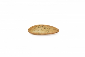 Moule au persil (carton de 84) Pidy
