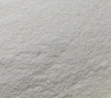 Bactoferment (25g) Nubassa G0.5 (Stocker à -18°C) Bactoferment (25g) Nubassa G0.5 (Stocker à -18°C)