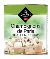 Champignons de Paris (Boîte 5/1)