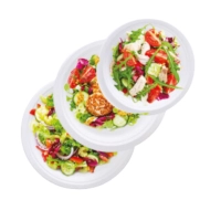 Assiette ronde 18 cm Bagasse