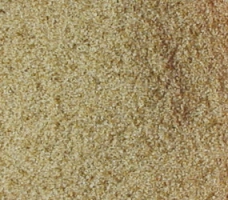 Sel au céleri Nubassa (Sachet de 1,5kg) Sel au céleri Nubassa (Sachet de 1,5kg)