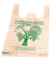 Sac bretelle Biosourcé naturel 260+60+60*450 (Carton de 1000)