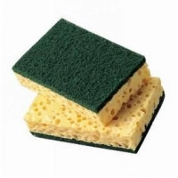 Eponges à récurer vertes Spontex13x9cm (Paquet de 10)