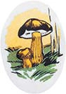 Champignon azyme 107x76mm (Paquet de 18)