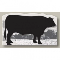 Chevalet comptoir 30x18cm Funny Boeuf (pqt de 3)