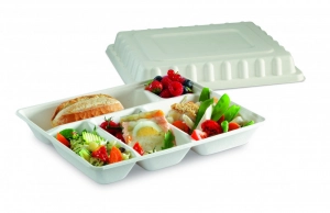 Plateau repas fibres végétales 5 comp 320x265mm Selfipack Plateau repas fibres végétales 5 comp 320x265mm Selfipack